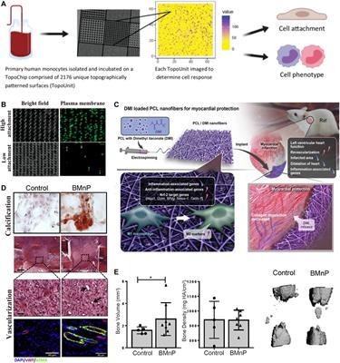 Frontiers Interactions Between Immunomodulatory Biomaterials And